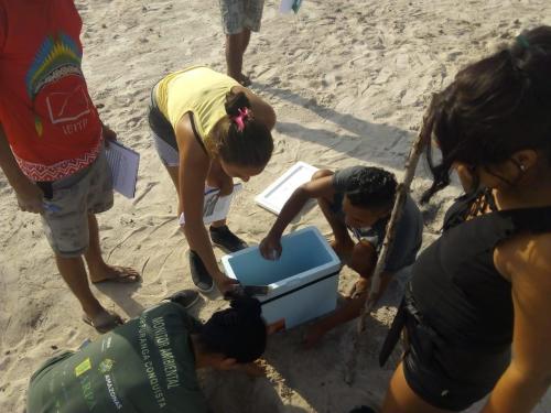 Monitoramento de quelônios ganha força na RDS Puranga Conquista e novas 5 comunidades são capacitadas para projeto