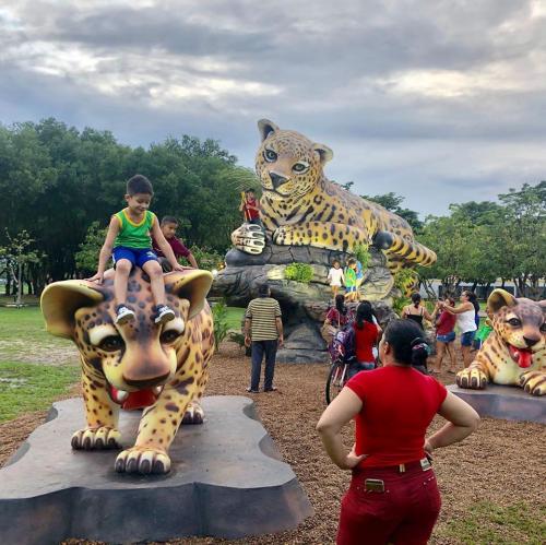 Selvinha Amazônica executada por Rossy Amoedo é sucesso em Boa Vista Roraima 