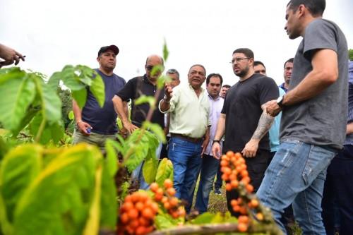 Governo do Amazonas analisa tecnologia desenvolvida pela Embrapa Maués que potencializa produção de guaraná Governo do Amazonas analisa tecnologia desenvolvida pela Embrapa Maués que potencializa produção de guaraná