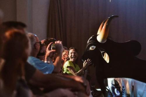 'Absolutamente fantástico', diz turista de cruzeiro sobre show do Caprichoso