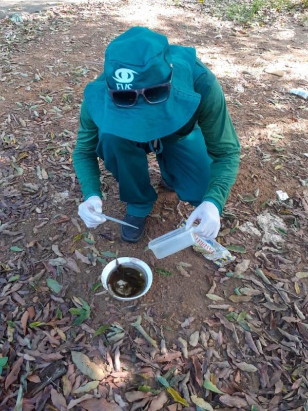 Laboratório Central descarta casos de dengue em Parintins 