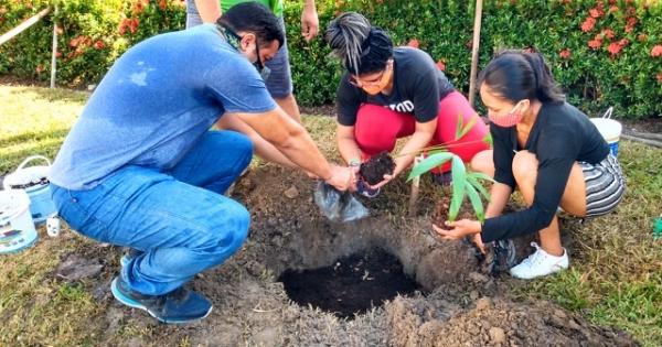 Memorial pela vida: Primeira Igreja Batista faz plantio de árvores em homenagem às vítimas da covid-19