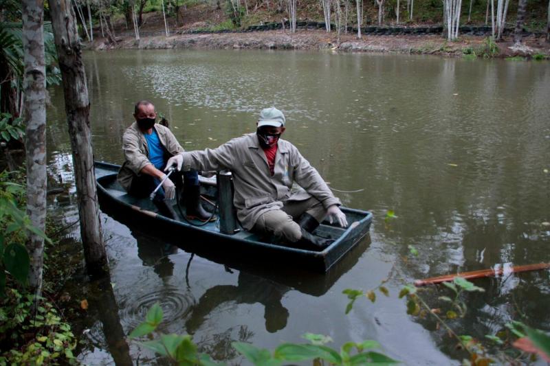 Trabalho de combate ao mosquito da dengue atinge mil locais em Manaus