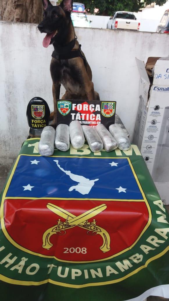 Em Parintins, Força Tática e 11º BPM apreendem drogas em balsa