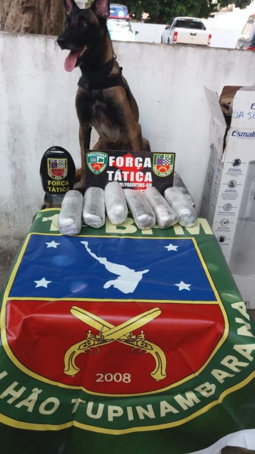 Em Parintins, Força Tática e 11º BPM apreendem drogas em balsa