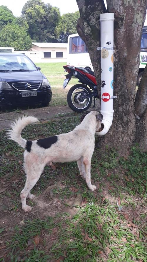 SENAC faz evento em prol ao Grupo Anjos de Patas que ajuda cães e gatos