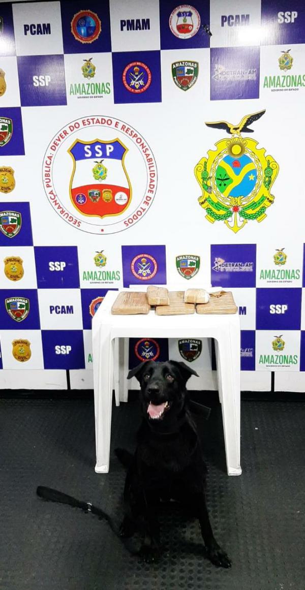 Quatro quilos de drogas são apreendidos pela Base Arpão