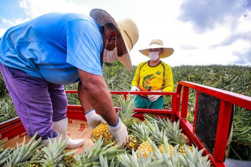 Governo do Estado continua comprando da agricultura familiar e doando alimentos na pandemia