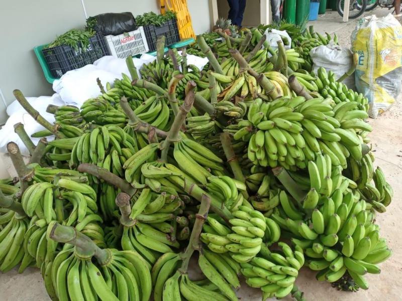 Em Santo Antônio do Içá, agricultores assistidos pelo Idam comercializam mais de R$ 350 mil em alimentos