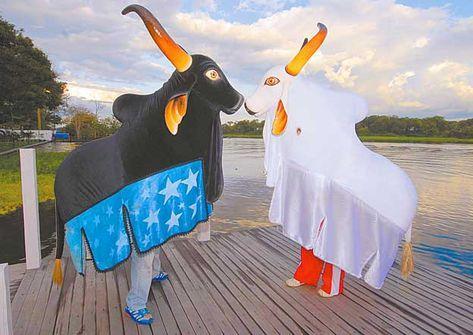 Museu dos Bois Bumbá de Parintins, licitação  do projeto de quase R$ 13 milhões será em março de 2021 