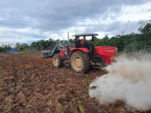 Assistência técnica do IDAM, aliada a tecnologia, beneficia agricultores familiares em Caapiranga 