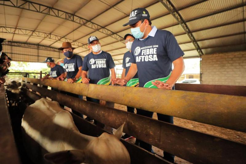 Wilson Lima inicia Campanha Amazonas sem Febre Aftosa, nesta segunda-feira (15/03)