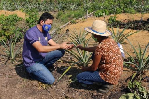 Idam e Afeam promovem palestra on-line sobre crédito rural emergencial e lei de anistia