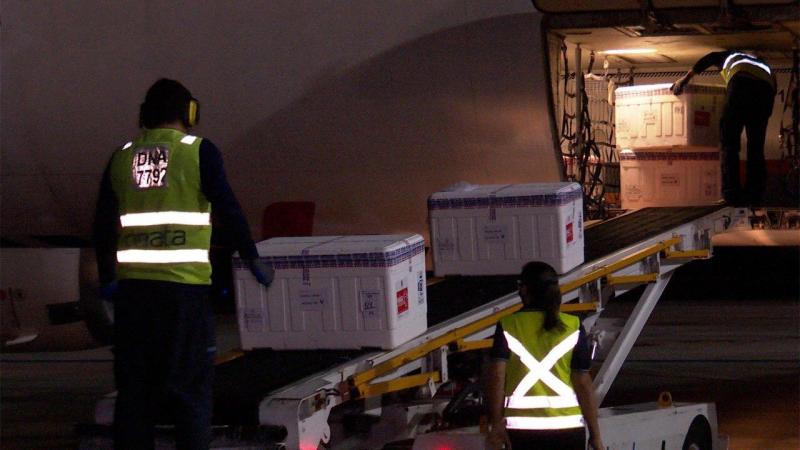 Governo do Amazonas recebe mais 44 mil doses de vacinas contra a Covid-19