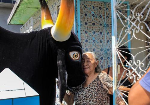 Boi Caprichoso doa cestas básicas para famílias de áreas alagadas 