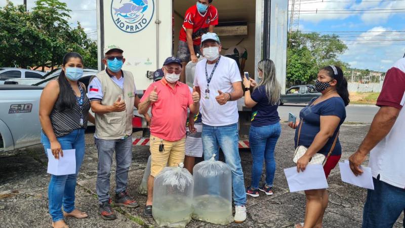 Governo do Amazonas entrega 44 mil alevinos de tambaqui a piscicultores da zona rural de Manaus