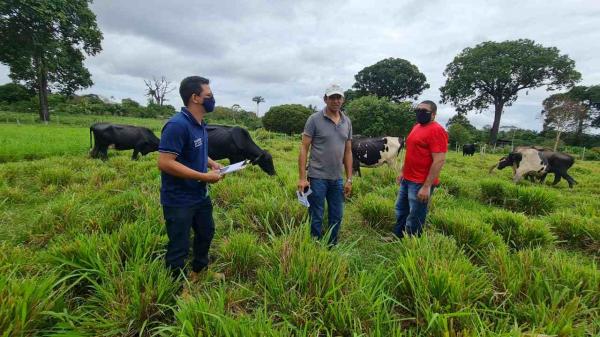 IDAM investe na modernização da agricultura familiar e produção leiteira de Parintins