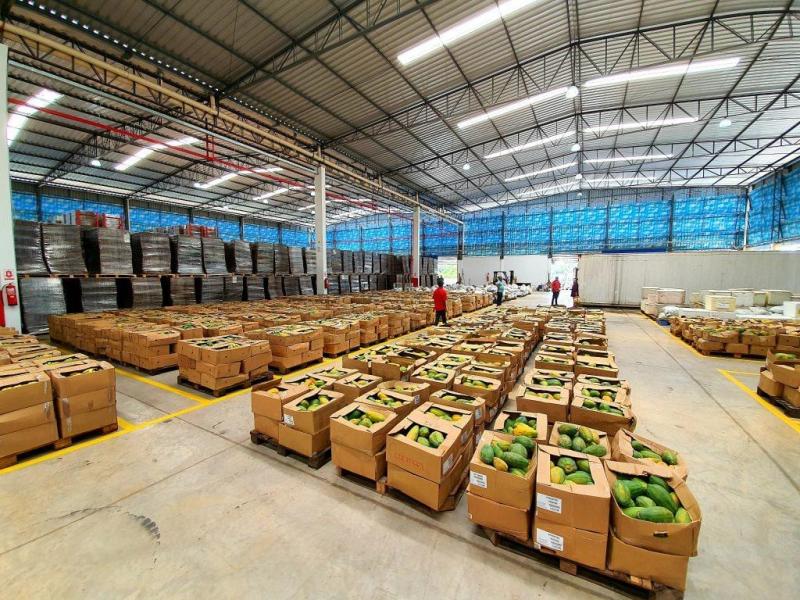 Governo do Amazonas já entregou 72 toneladas de produtos para doação a pessoas em situação de vulnerabilidade