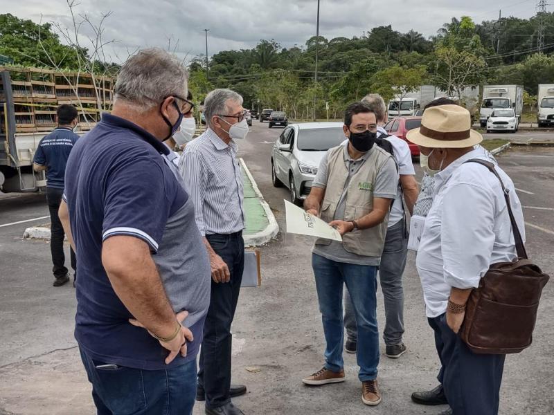 Governo do Amazonas vai distribuir 100 mil mudas de castanheira a produtores familiares