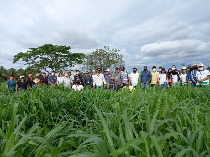 IDAM capacita equipes técnicas em Pecuária Sustentável 