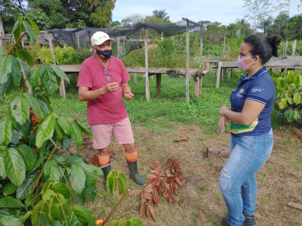 Idam realiza intercâmbio com foco na cultura do guaraná em Maués
