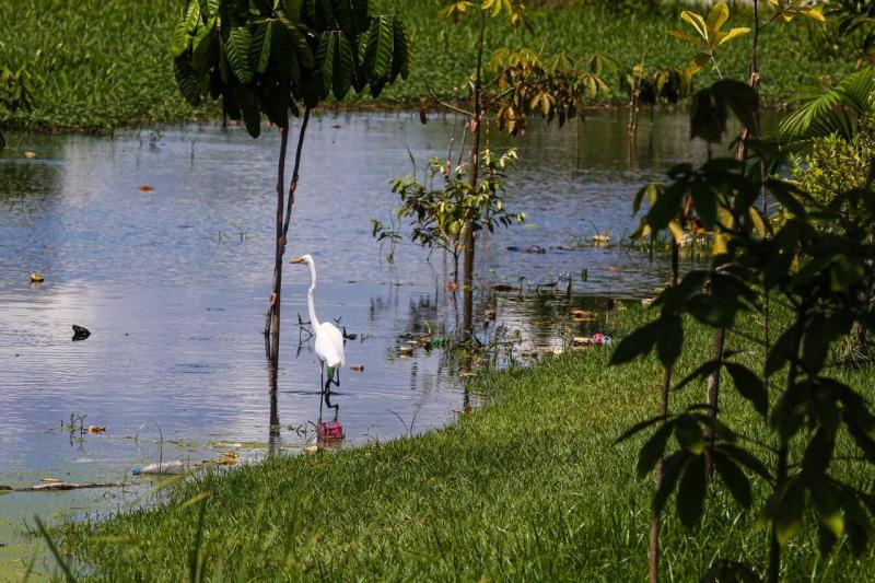 Governo apresenta ao BID propostas de fortalecimentos institucionais previstos no Prosamin+