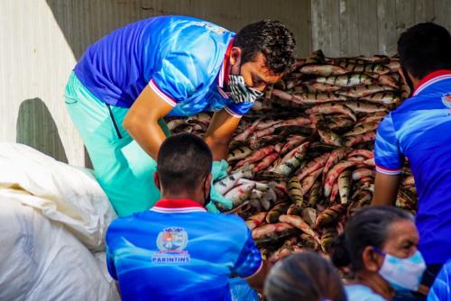 Prefeitura distribui pescado a famílias de baixa renda