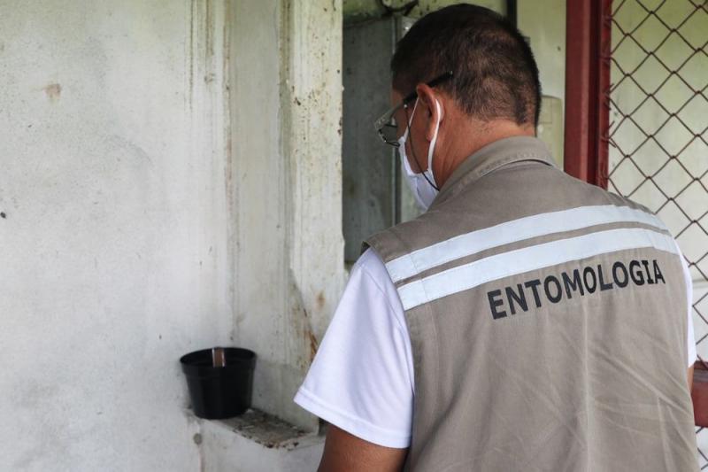 Amazonas integra ação para testar resistência do Aedes aegypti a inseticidas