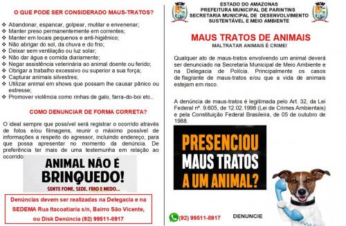 Campanha sensibiliza população para proteção de animais domésticos contra maus tratos 