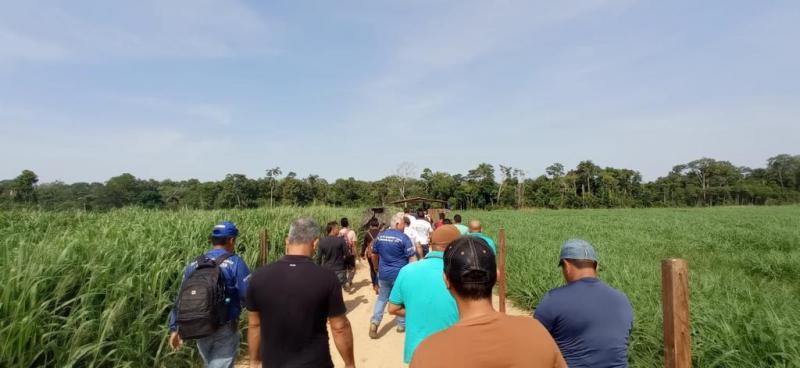 Idam realiza dia do campo voltado para para Criação de Bovinos em Itacoatiara