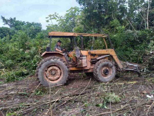 Prefeitura de Parintins prepara 30 hectares de áreas no Laguinho para plantação de mandioca, feijão e milho