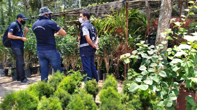 Adaf intensificou ações de defesa vegetal no Amazonas em 2021