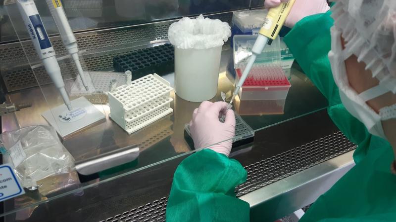 Fundação Medicina Tropical FMT-HVD recebe nova certificação de excelência do Ministério da Saúde