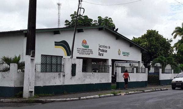 Idam incentiva produção de café e distribuição de mudas em Parintins