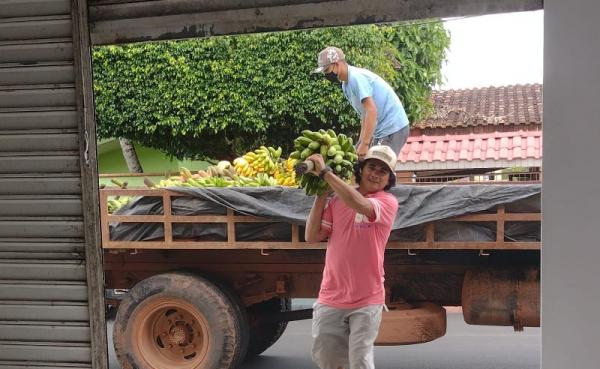 Prefeitura de Parintins compra banana de agricultor familiar para a merenda escolar regionalizada