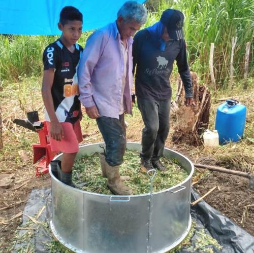 Sempa e Embrapa orientam pecuaristas na produção de silagem
