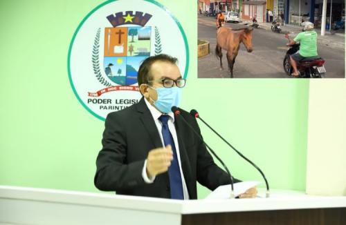 Massilon solicita apoio ao MP para o cumprimento da Lei que proíbe circulação de animais de grande porte na área urbana de Parintins