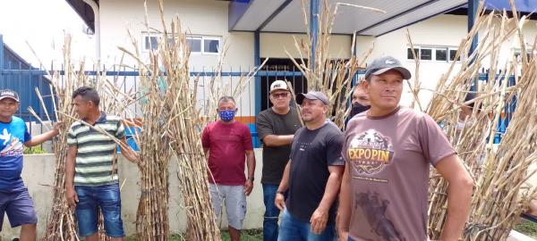 Ação integrada da Sempa difunde tecnologia da capineira e produção de silagem no Caburi
