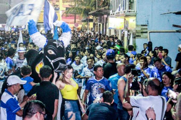 Boi Caprichoso vai azular Parintins no maior Boi de Rua da história