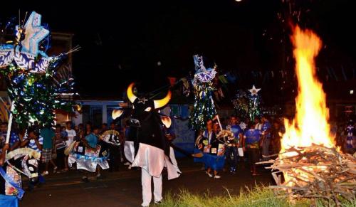Caprichoso organiza maior Boi de Rua da história para o maior festival de todos os tempos