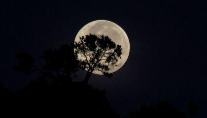 Superlua poderá ser vista em todo o Brasil