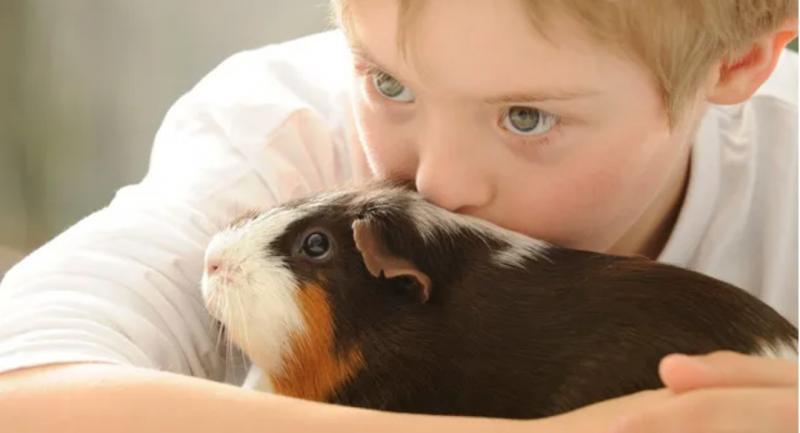 Como os animais de estimação estimulam o cérebro de seus filhos