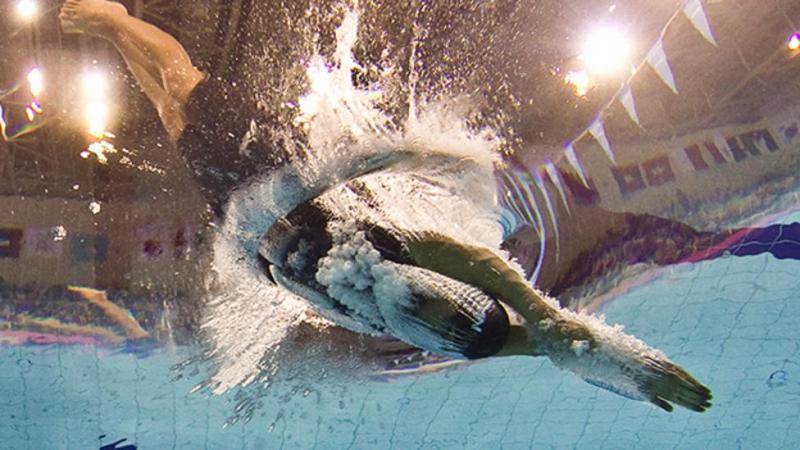 Fina proíbe nadadores transgêneros de eventos de elite femininos que passaram pela puberdade masculina