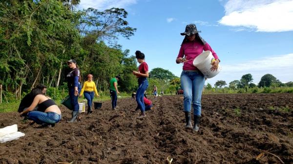 Produtor prepara área para pecuária de leite, com apoio da Sempa, Embrapa e curso de zootecnia na Comunidade do Aninga 