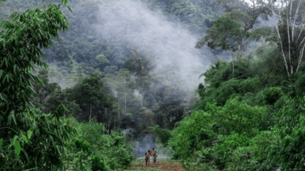  Amazônia tem 1,2 mil pistas de pousos clandestinas usadas por garimpo 