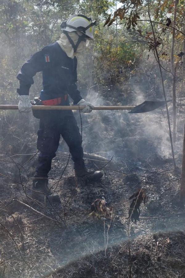 Incêndio destrói área de mata em Parintins 
