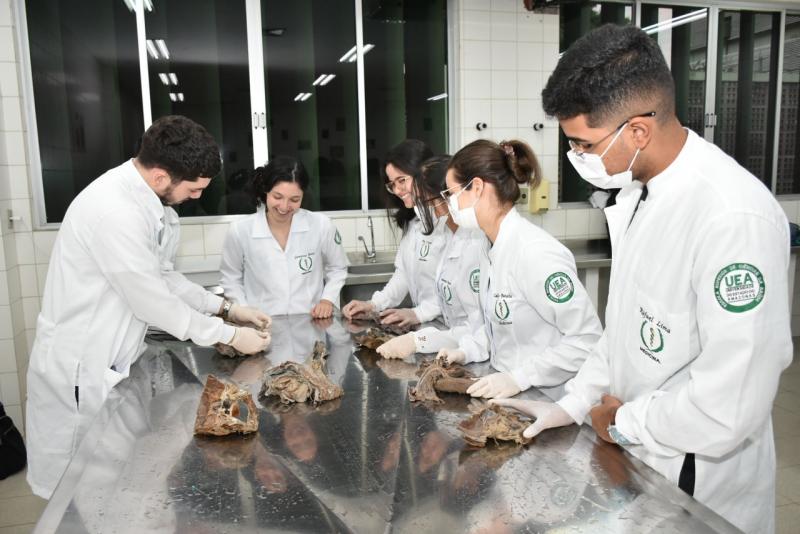 Conselho Estadual de Educação conceitua curso de Medicina da UEA com nota 4,43