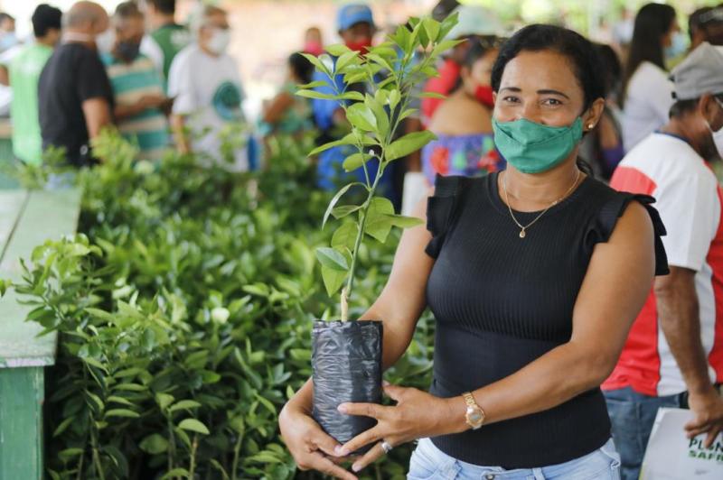 Investindo na expansão da produção agrícola, Governo do Estado entregou mais de 11,7 mil kits da agricultura familiar em 2022