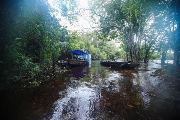 Fundo Amazônia e fim de desmate podem render R$ 95 bi em dez anos Fundo Amazônia e fim de desmate podem render R$ 95 bi em dez anos