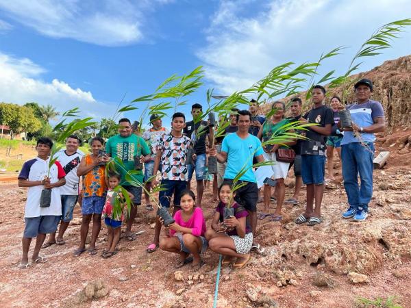 Idam capacita agricultores para fomentar cultivo do açaí em Barreirinha
